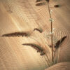 Isola-Dining Table-Linteloo-Savannah Bay Gallery 7